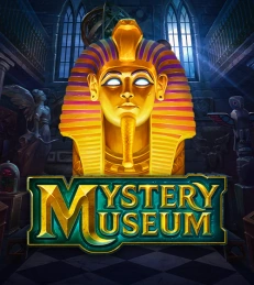Mystery Museum